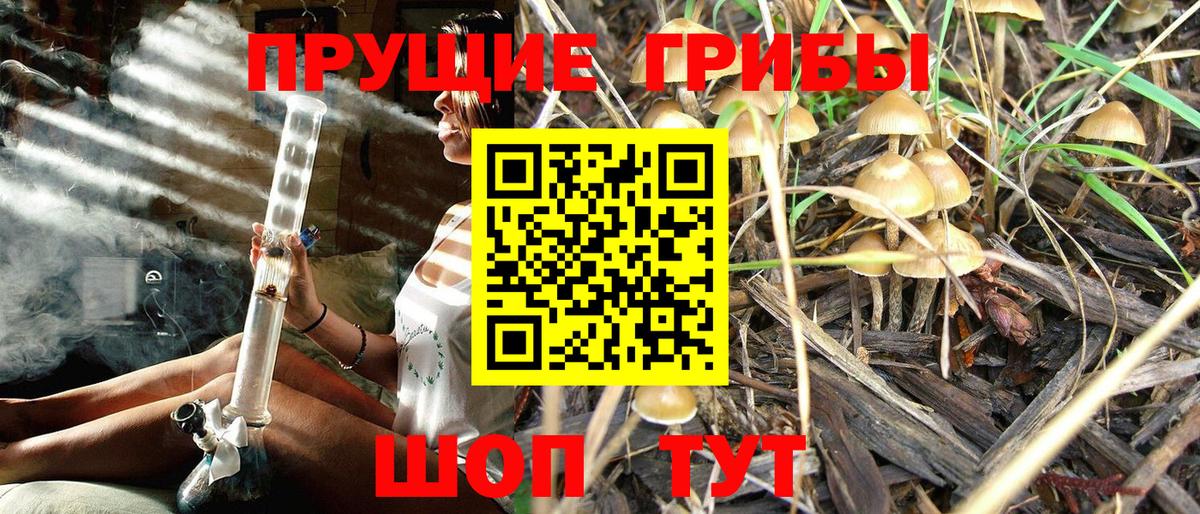 Галлюциногенные грибы прущие грибы  Вход с VPN  цены   Якутск 